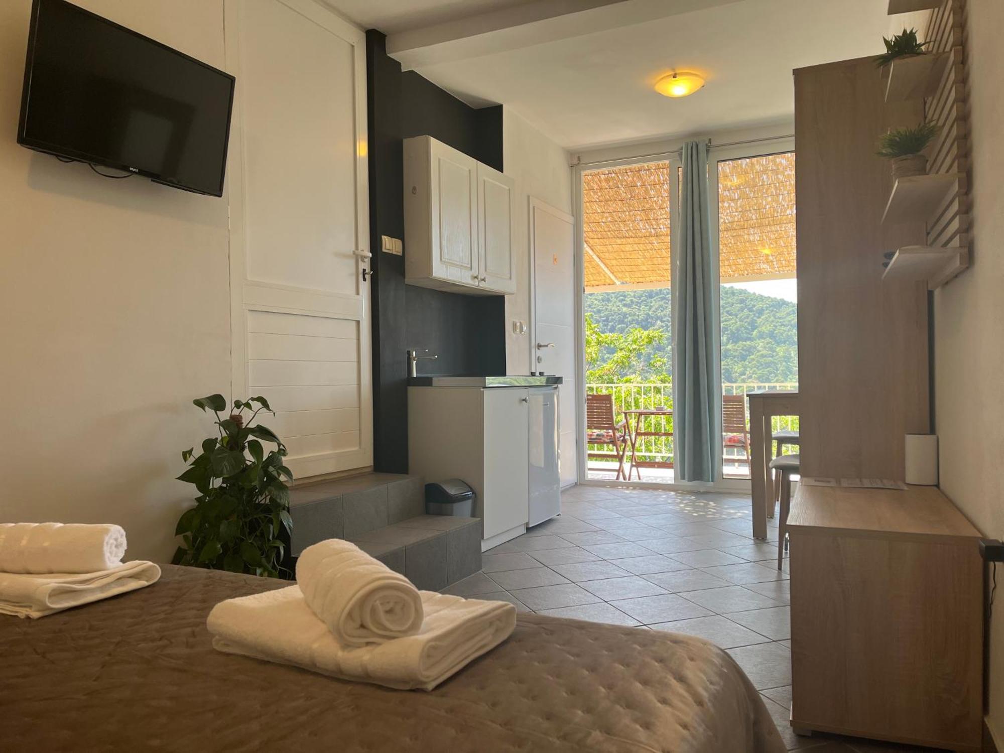 Studio Apartment Apartment